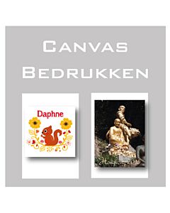 Canvas_eigen_ontwerp