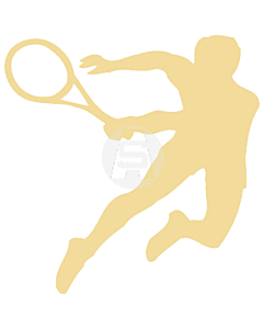 tennis sticker