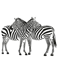 zebra 1 sticker