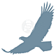  Eagle silhouette