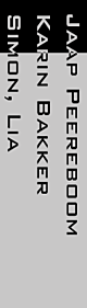 Raamfolie / Glasfolie met naam en huisnummer op maat gemaakt. Diverse mogelijkheden qua lettertype, enz.