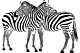 zebra 1 sticker
